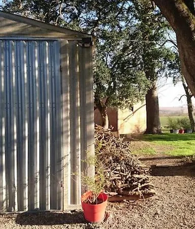 Apartment Evasion Nature - Tiny House